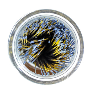 Top of glass apothecary jar filled with blue tipped incense sticks. 