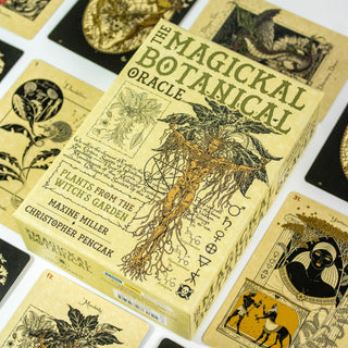 Box of the Magickal Botanical oracle is beige and features and elaborate drawing of an herb root with human features. Several other cards from the deck surround it.