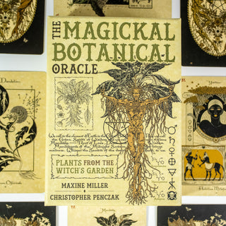 Box of the Magickal Botanical oracle is beige and features and elaborate drawing of an herb root with human features. Several other cards from the deck surround it.